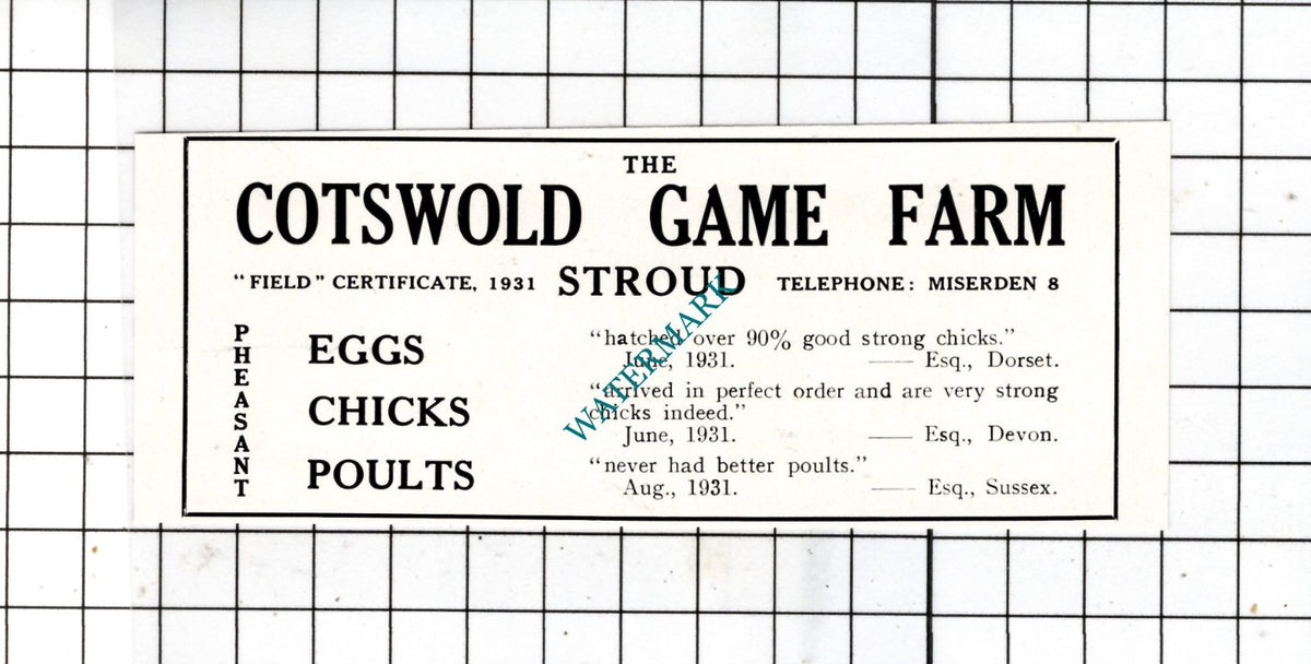 The Cotswold Game Farm Stroud - 1932 SMALL Advert