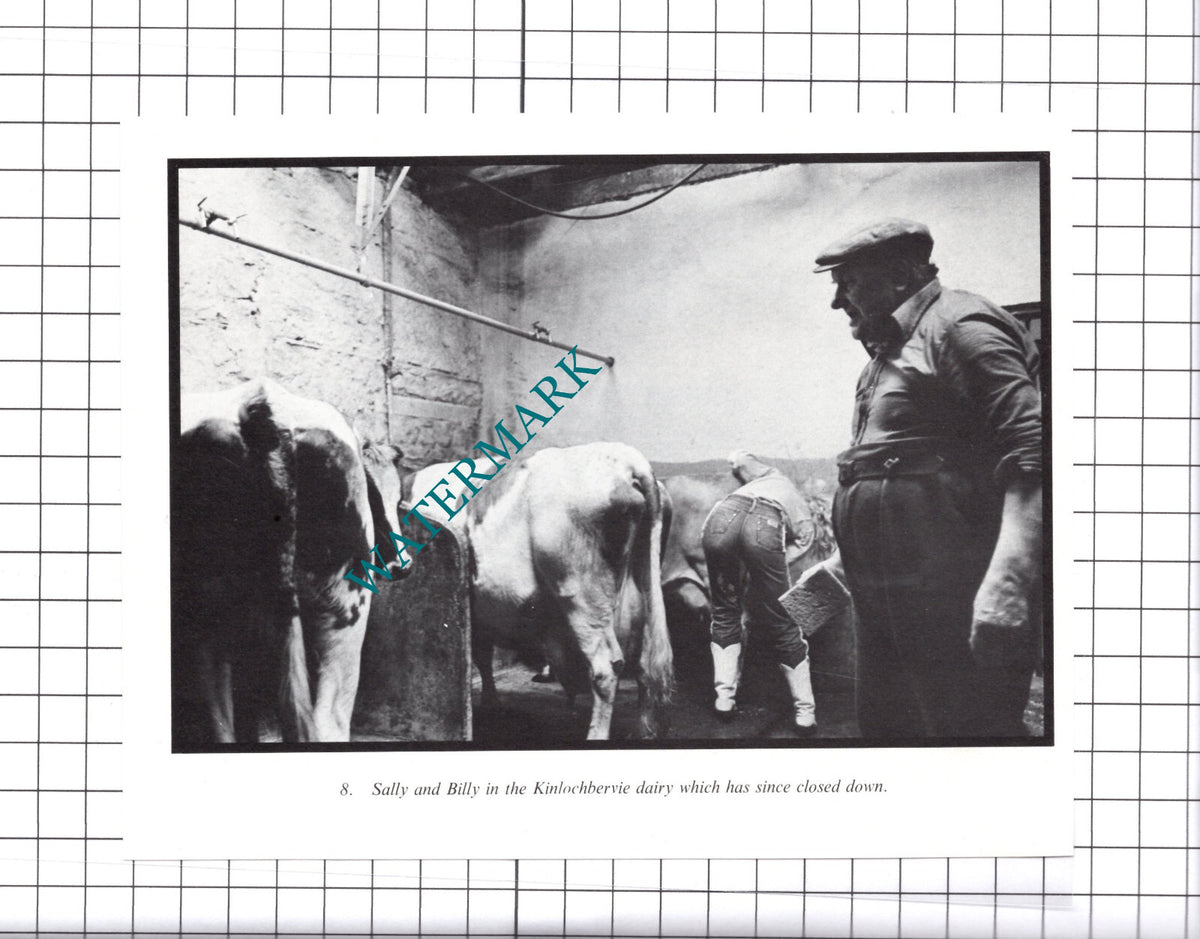 Kinlochbervie Dairy - 1980's Cutting / Print