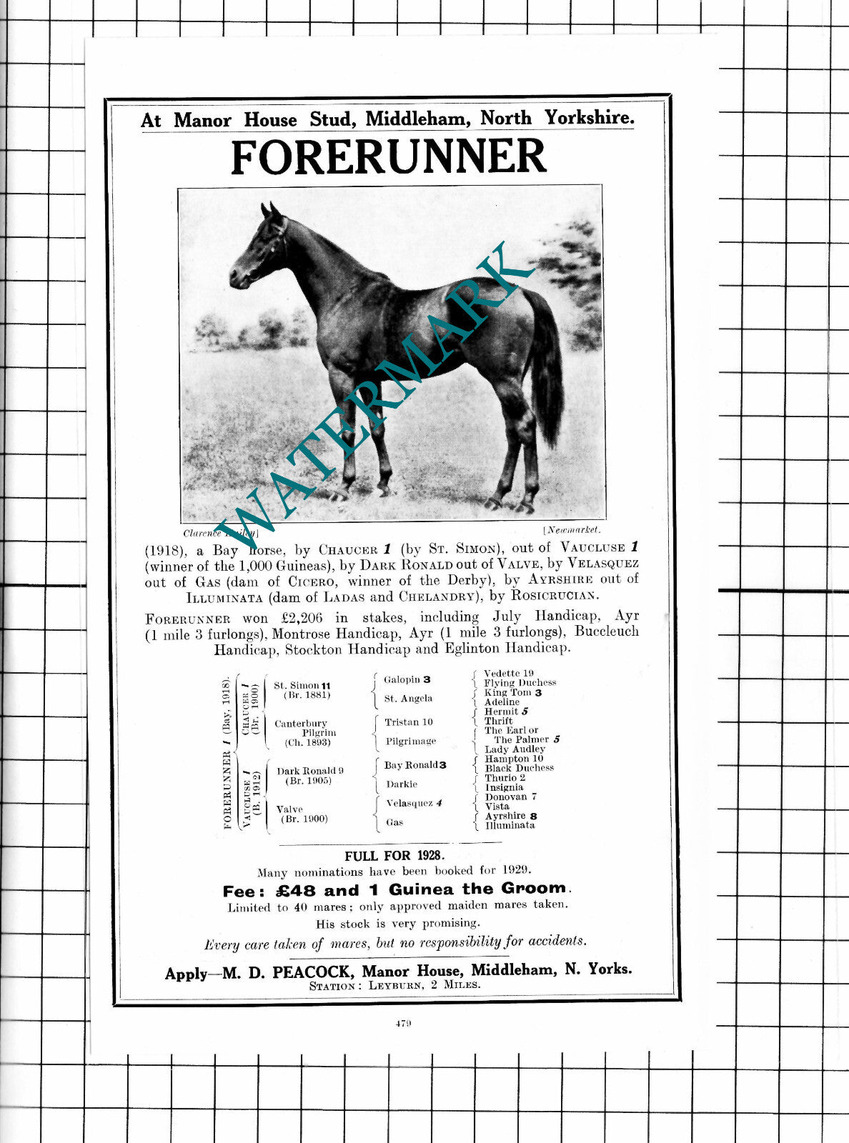 Forerunner Racehorse Horse Manor House Stud Middleham Yorkshire - 1927 Advert