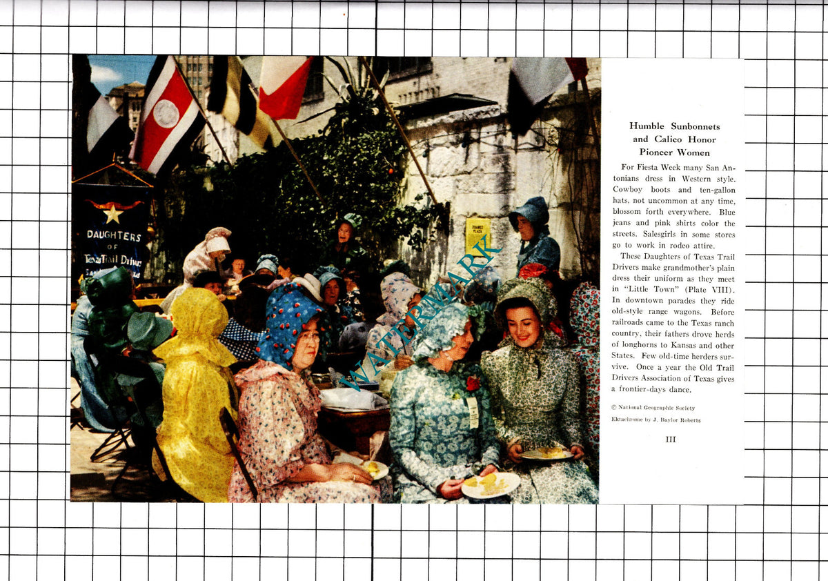 Daughters Of Texas Trail Drivers San Antonio Texas - 1947 Clipping