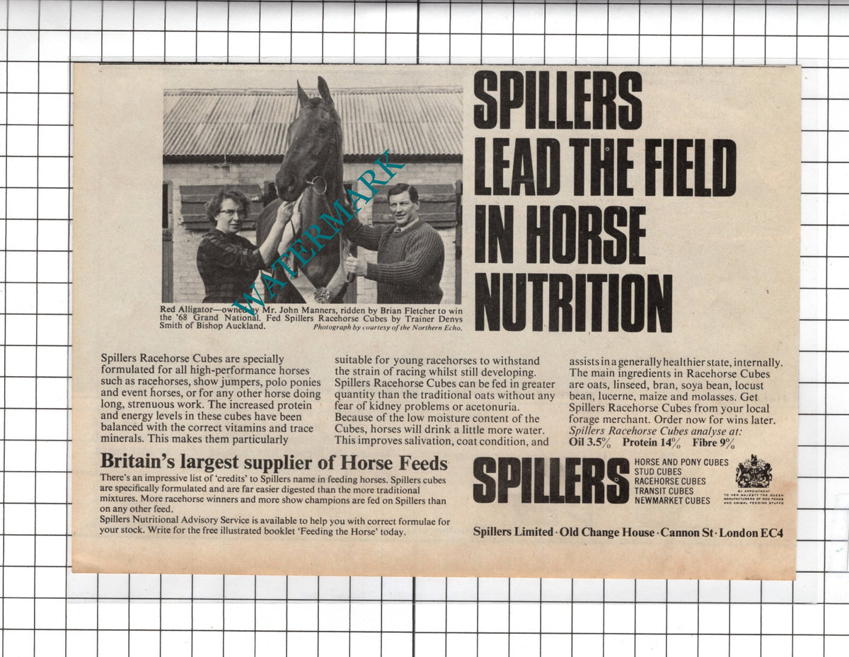 Mr John Manners Horse Red Alligator Denys Smith Trainer Spillers - 1968 Advert