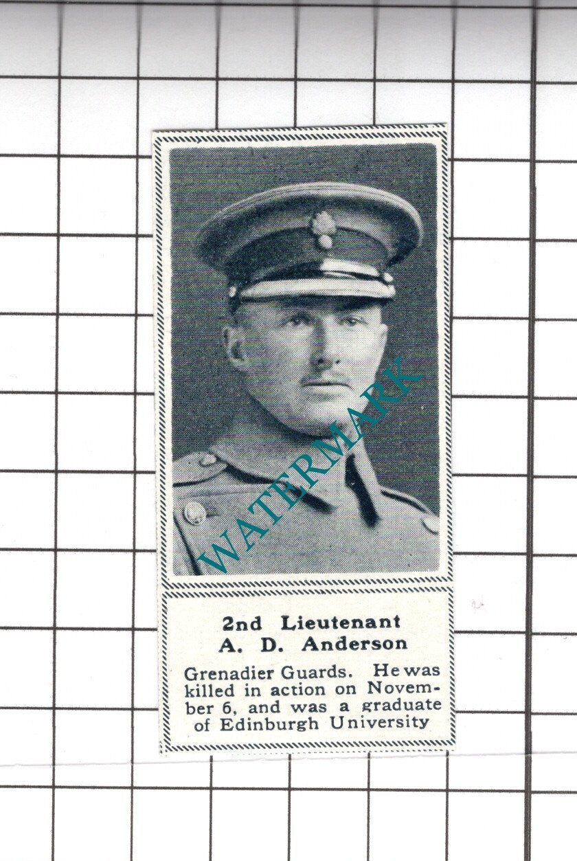 2nd Lt A D Anderson Grenadier Guards WW1 Great War - 1919 SMALL Cutting