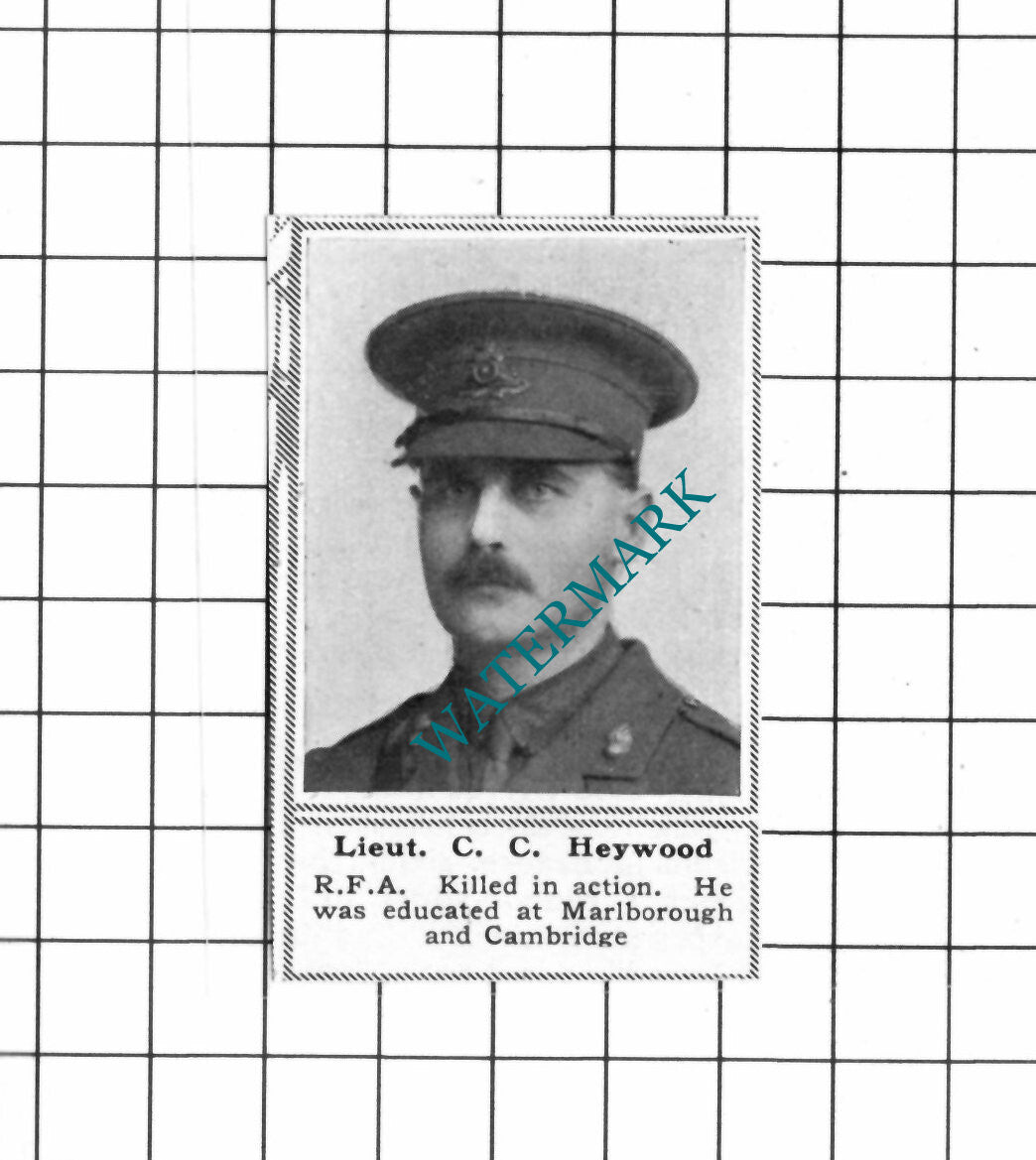 Lt C C Heywood RFA WW1 - c.1918 SMALL Clipping / Print