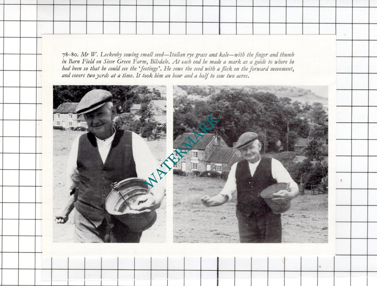 Mr E W Leckenby Sieve Green Farm Bilsdale Yorkshire - Small Clipping
