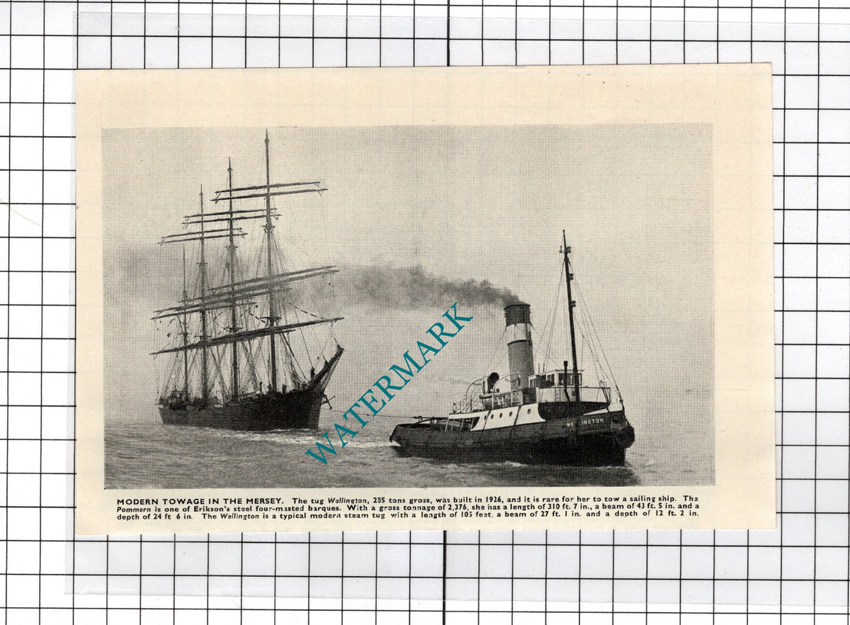 WELLINGTON Tug Boat POMMERN Ship - c.1940's Cutting