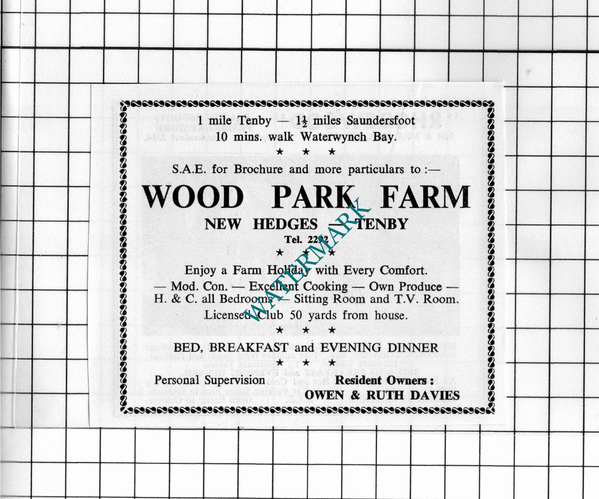Rhodewood Guest House Saundersfoot / Wood Park Farm Tenby - 1962 Small Advert