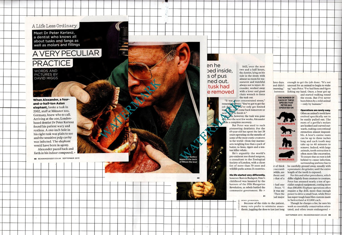 Dr Peter Kertesz - 2013 Small Article