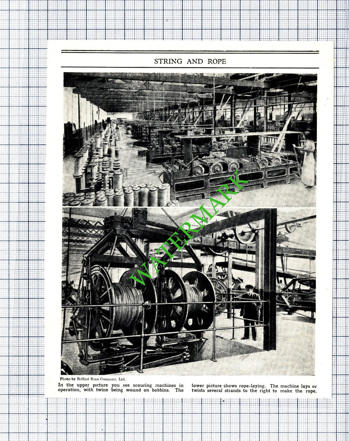 Belfast Rope Company Ltd - c.1940s Cutting / Print