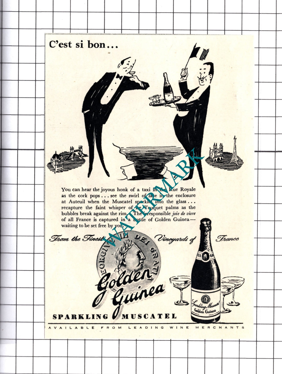 Golden Guinea Sparkling Muscatel Small Advert - 1950 Cutting