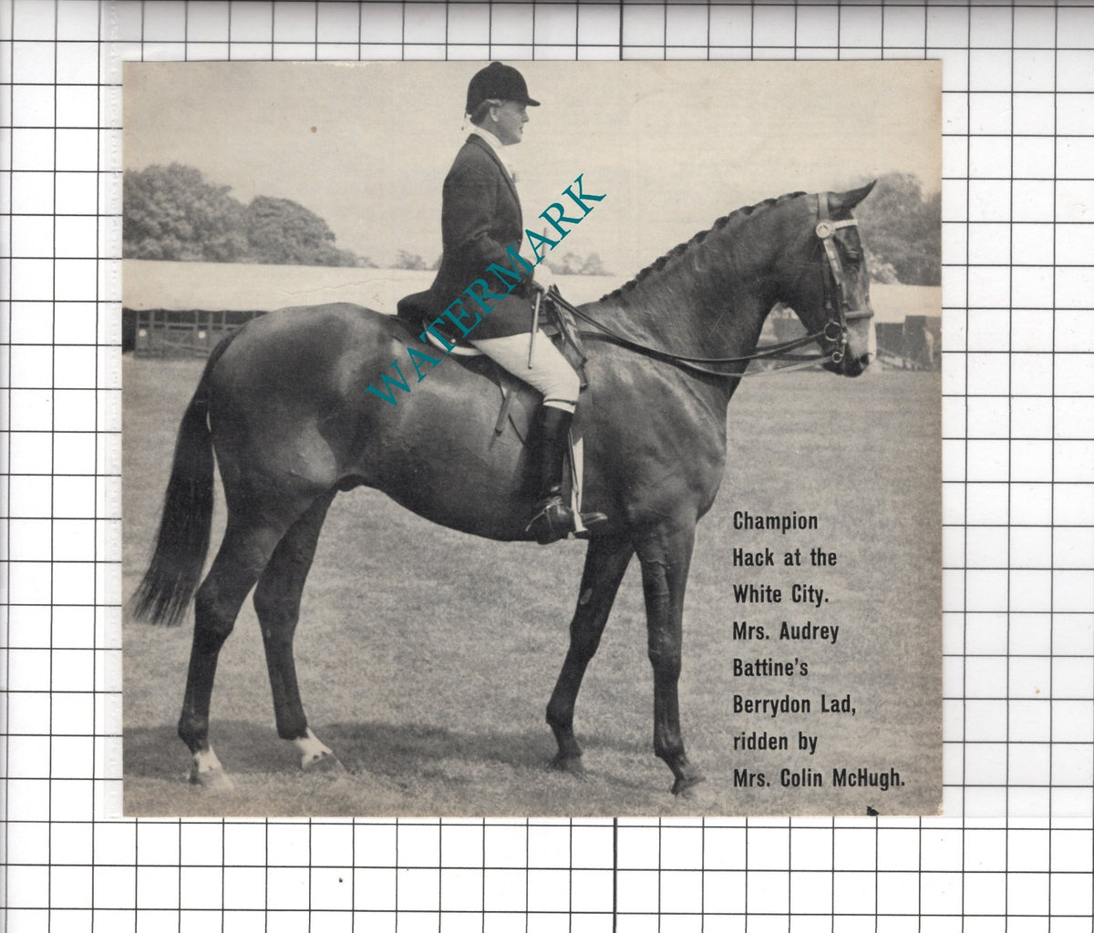 Mrs Colin McHugh Horse Berrydon Lad Mrs Audrey Battine - 1965 Clipping