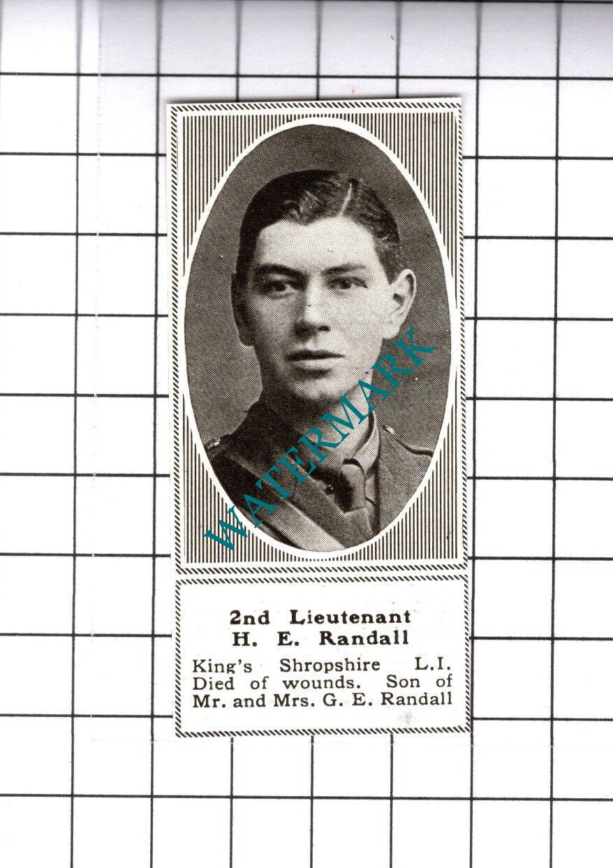2nd Lt H E Randall King's Shropshire LI Great War WW1 - 1919 SMALL Cutting