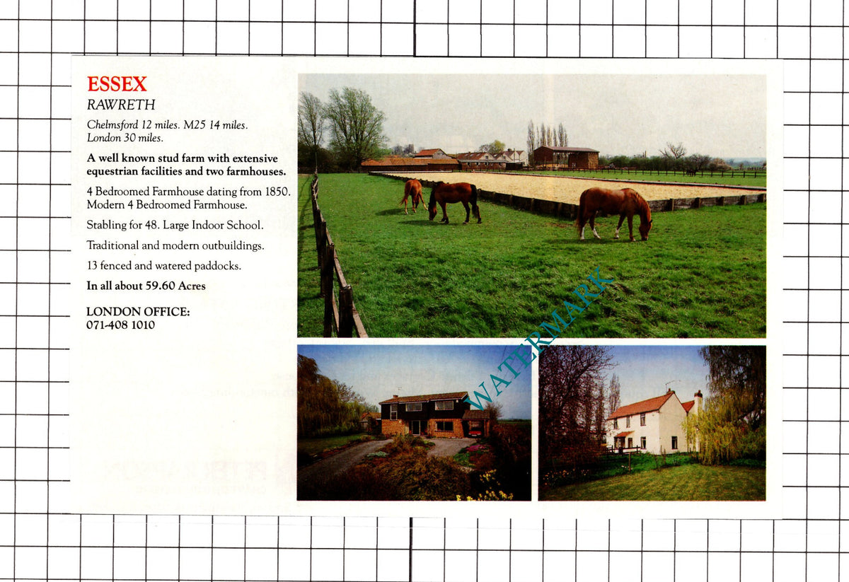 Rawreth Essex Stud Farm Sale Advert - 1991 Clipping / Print
