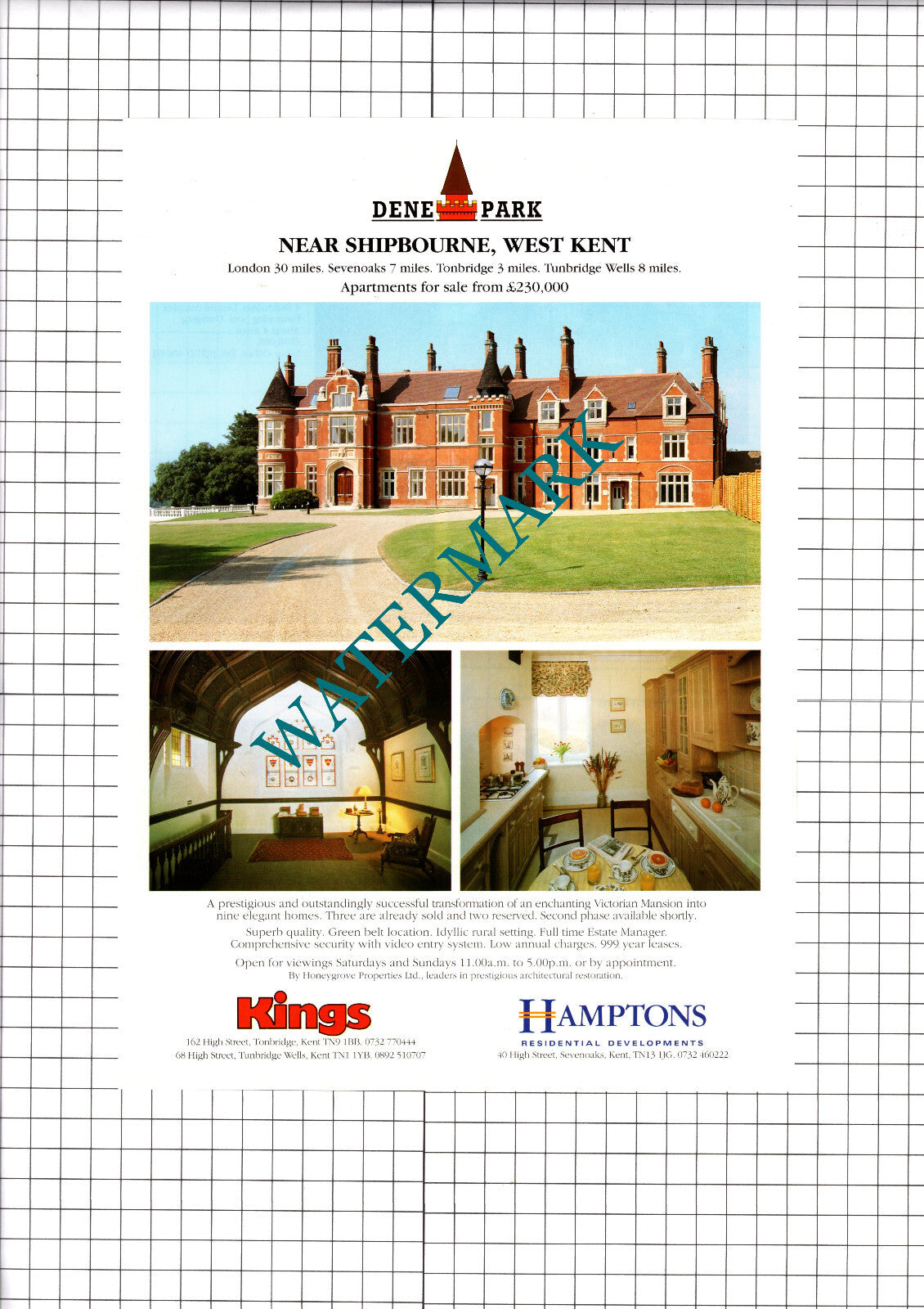 Dene Park Shipbourne Kent Apartment Sale Advert - 1991 Clipping