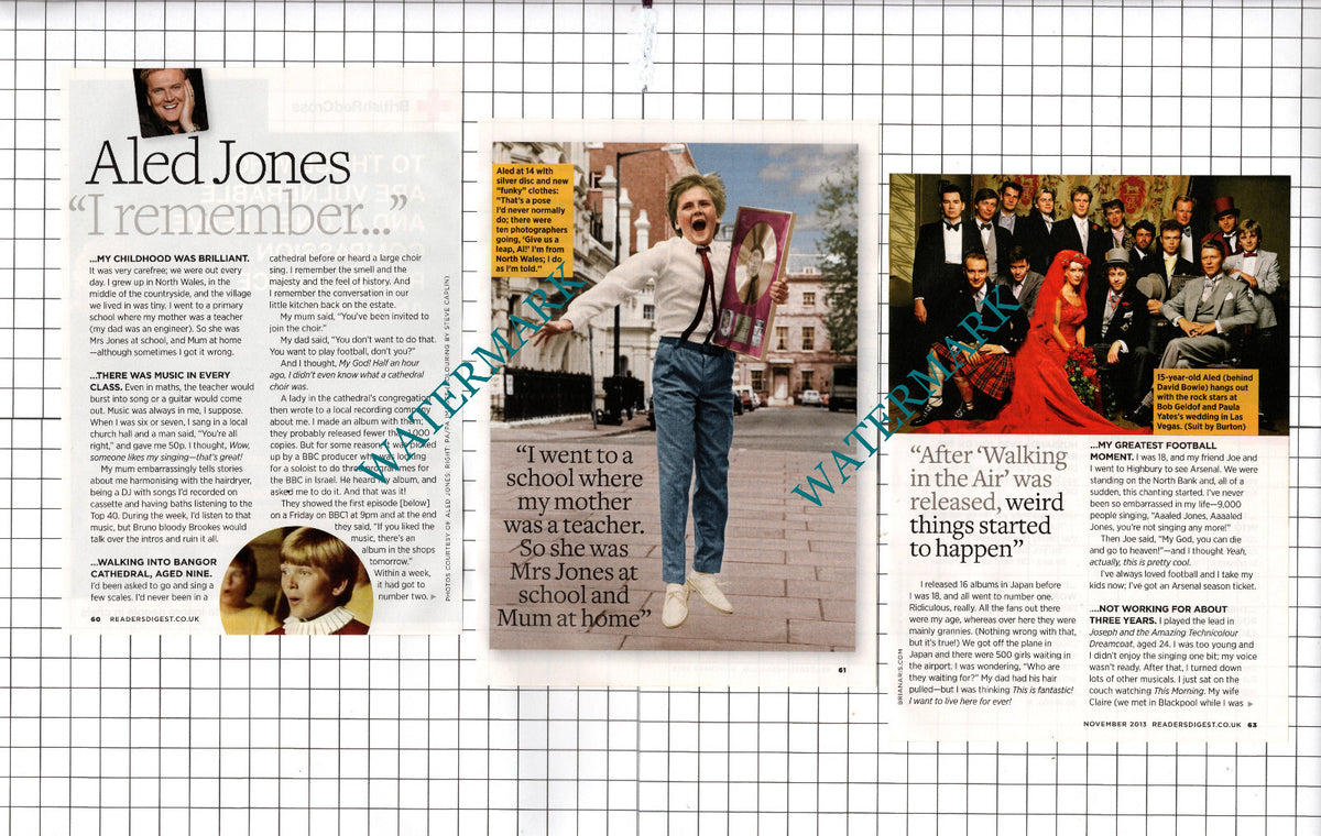 Aled Jones - 2013 Small Article