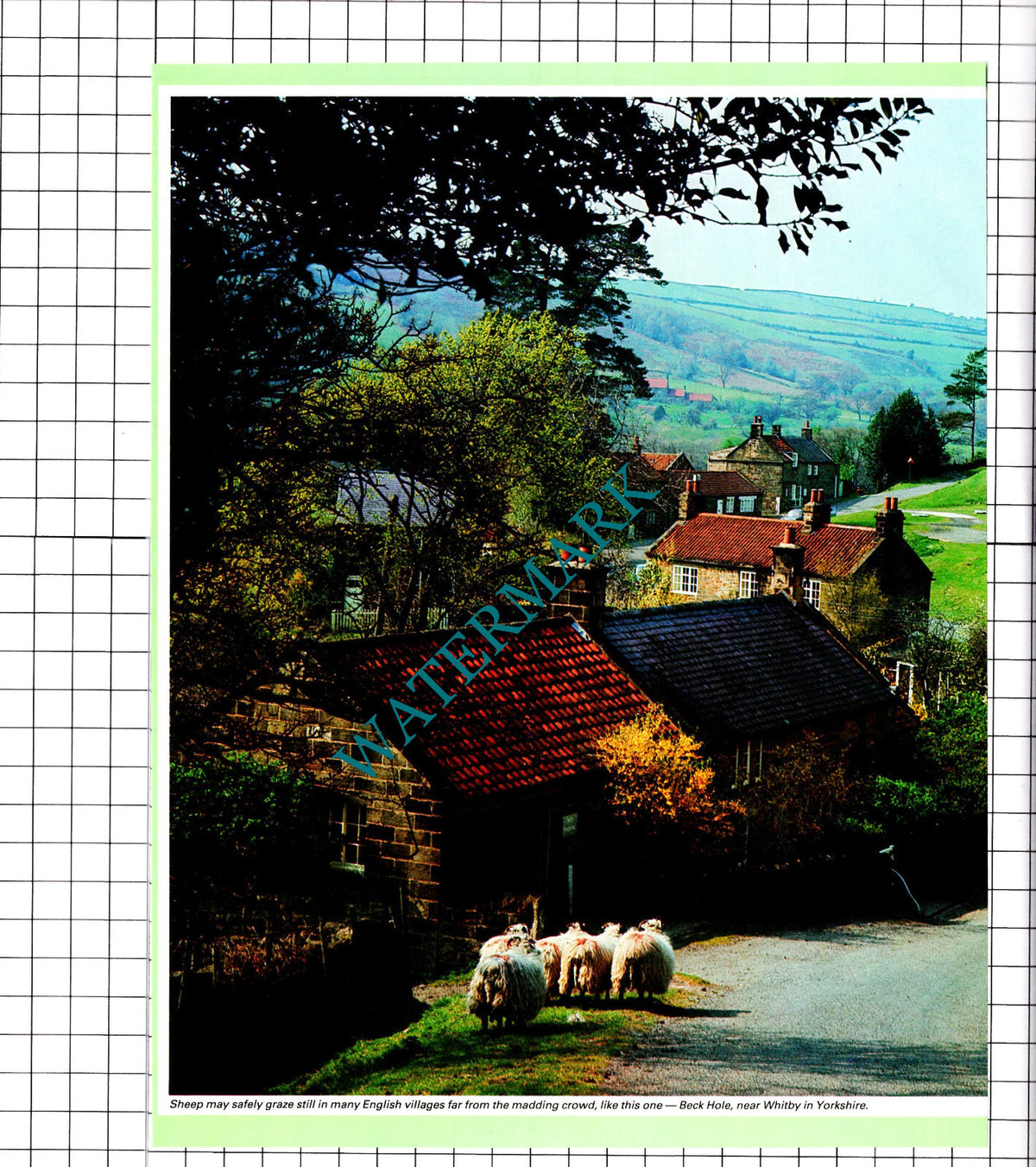Beck Hole Whitby Yorkshire - 1987 Clipping / Print