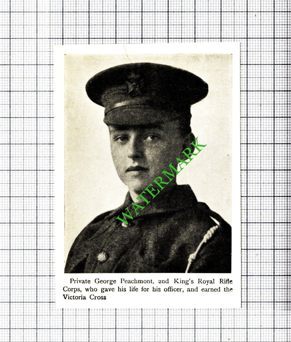 Private George Peachmont 2nd King's Royal Rifle Great War - c.1920 Small Cutting
