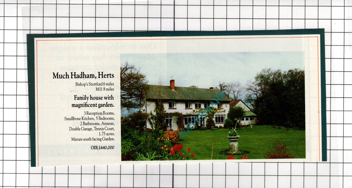 Much Hadham Hertfordshire House Sale Advert - 1991 Cutting