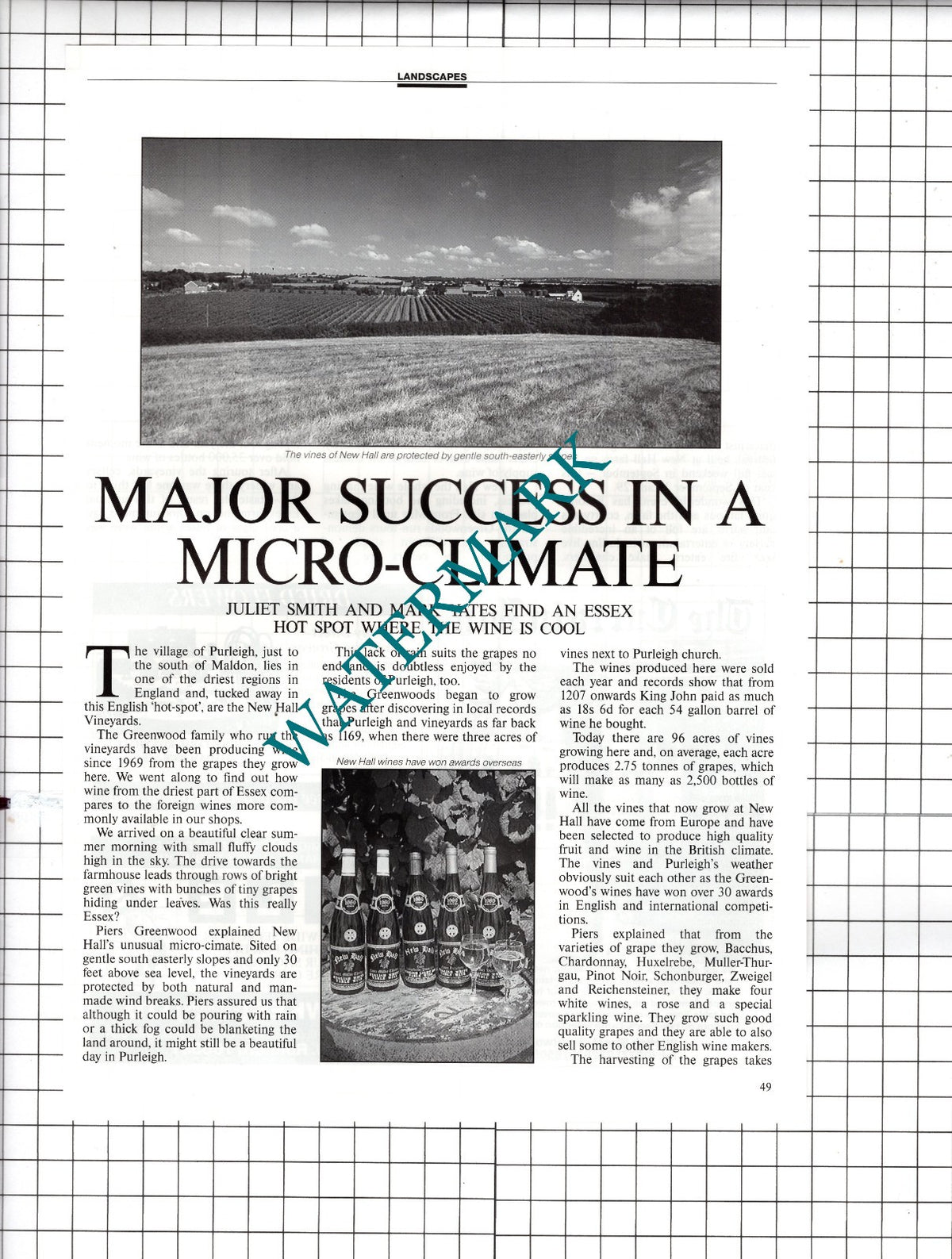 New Hall Vineyards Purleigh Essex Piers Greenwood - 1991 Article