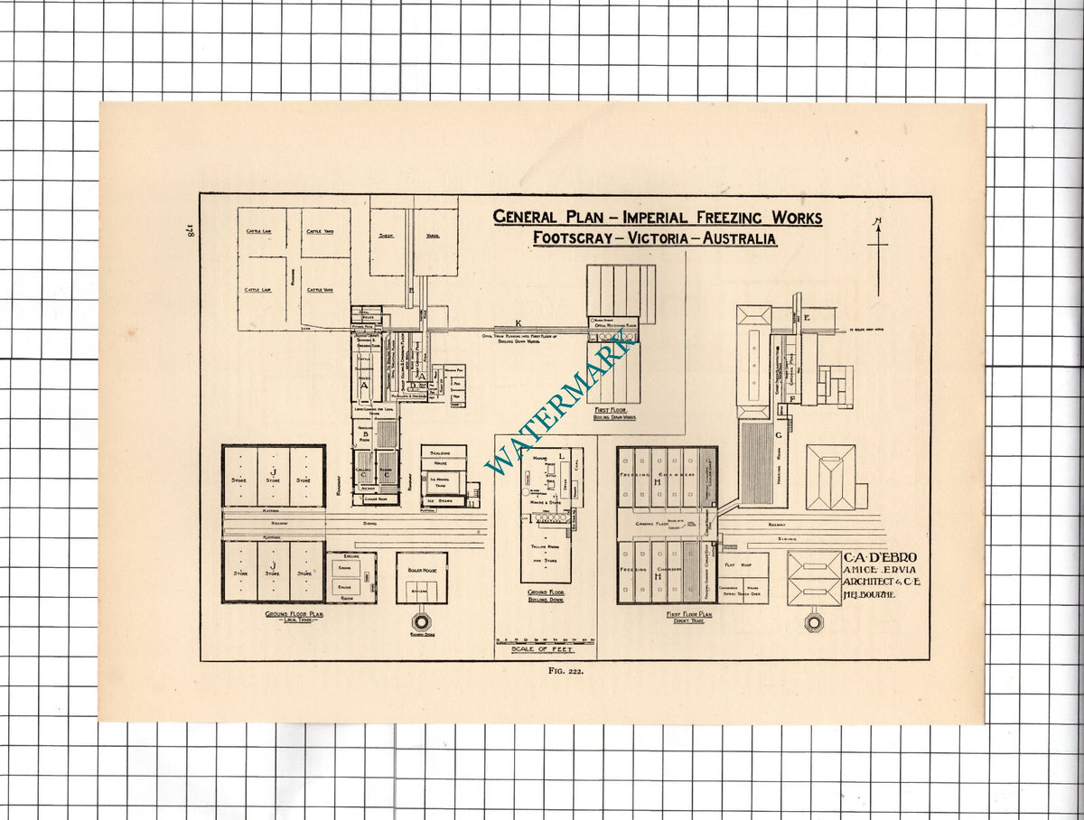 Imperial Freezing Works Footscray Australia D'Ebro Architect - c.1910 Cutting