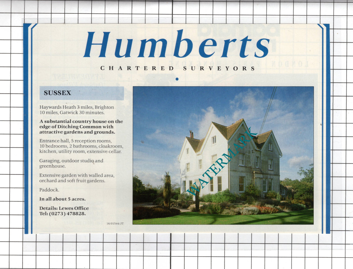Haywards Heath Ditching Common House Sale Advert - 1990 Cutting