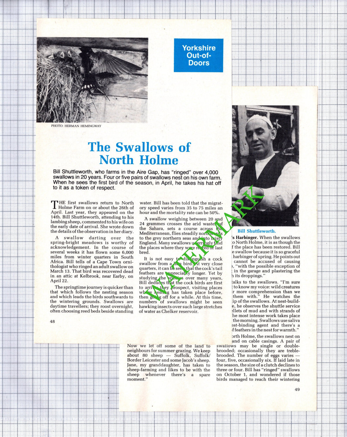 Bill Shuttleworth North Holme Farm Yorkshire - 1986 Article