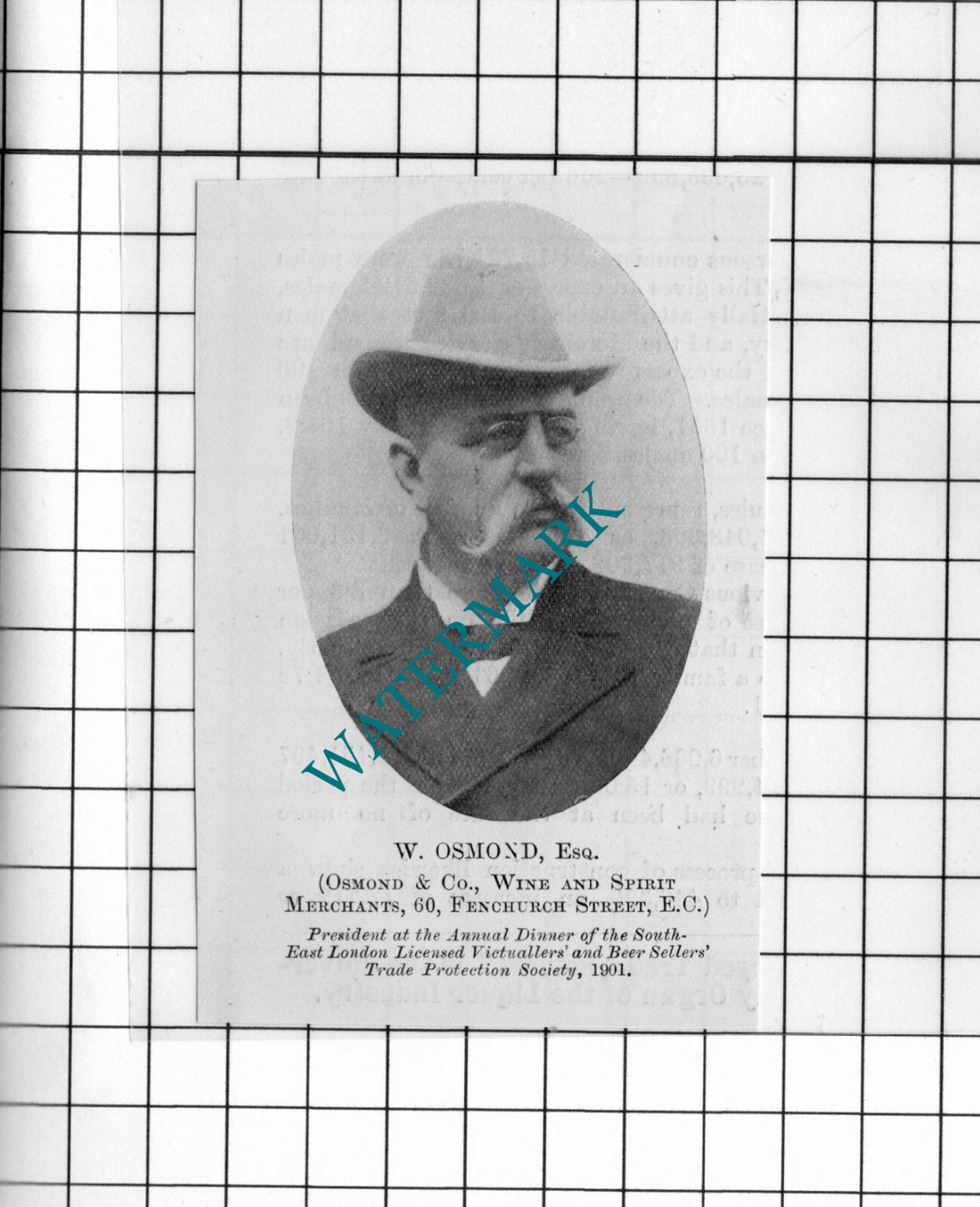 W Osmond Osmond & Co Wine Merchants London - 1902 Small Cutting