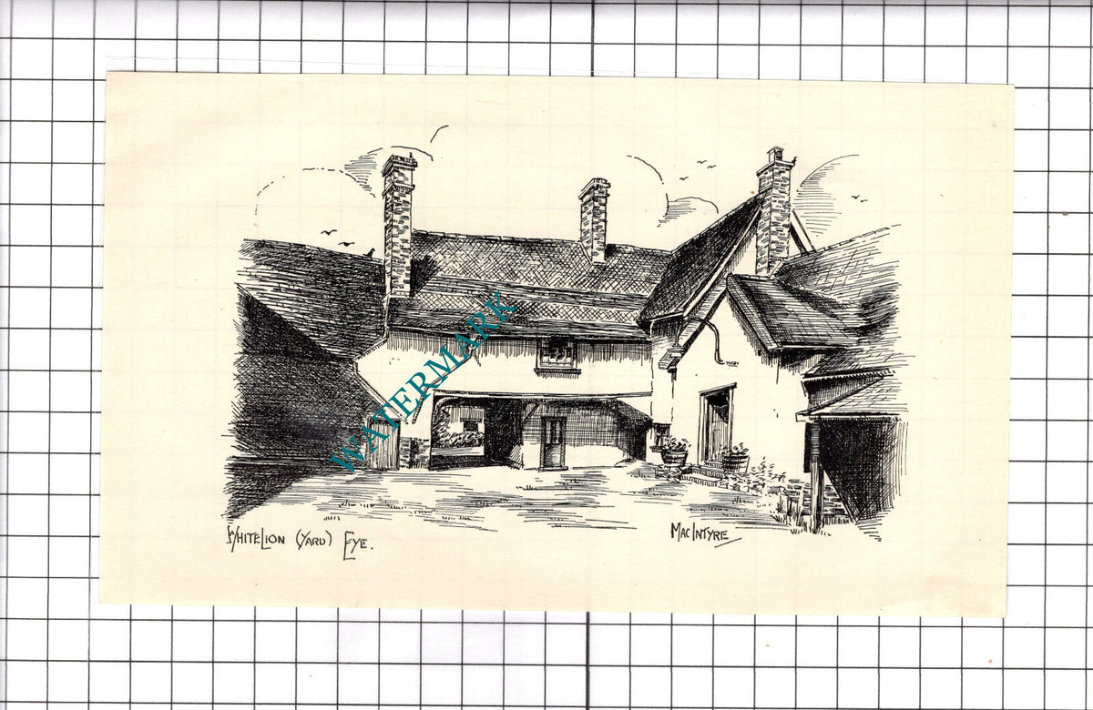 White Lion Eye Suffolk - 1940's Book Print