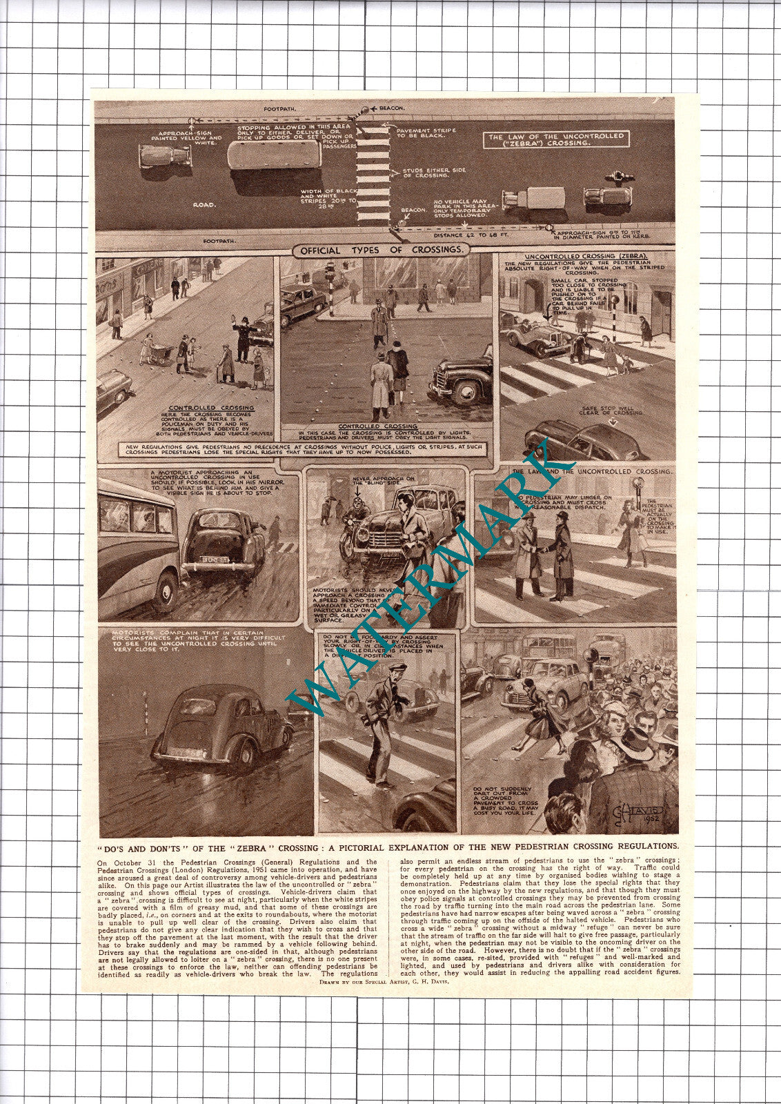 The Zebra Crossing Pedestrian Road Safety - 1952 Clipping / Print