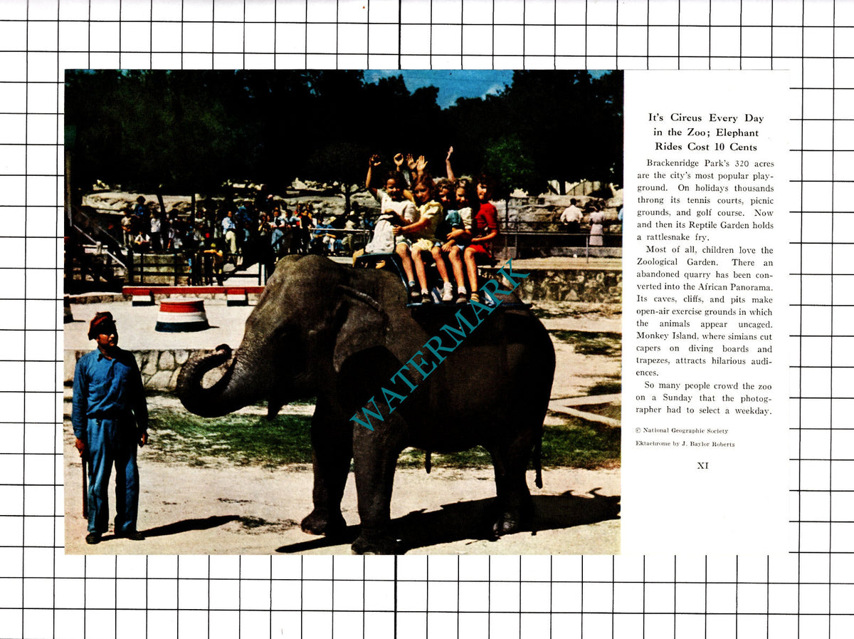 Brackenridge Park Zoo San Antonio Texas USA - 1947 Clipping