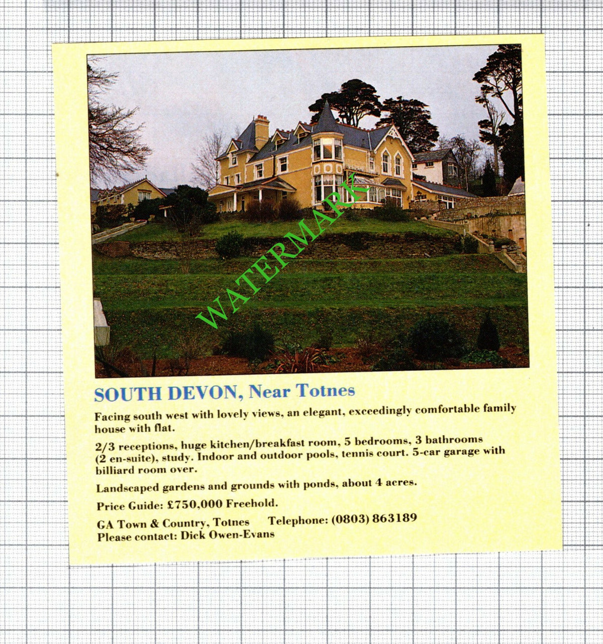 Totnes Devon House Sale Advert - 1991 Cutting