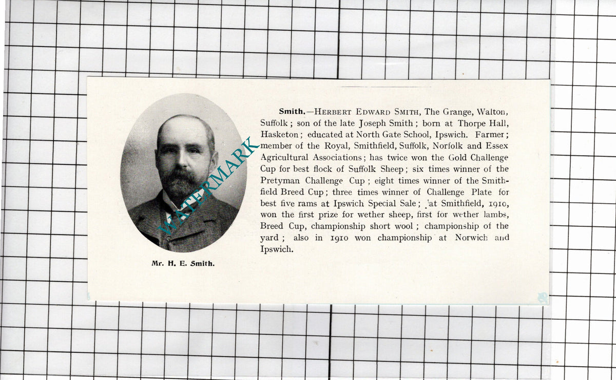 Alfred Sizer Ipswich Suffolk / Herbert Edward Smith Walton Suffolk 1911 Clipping