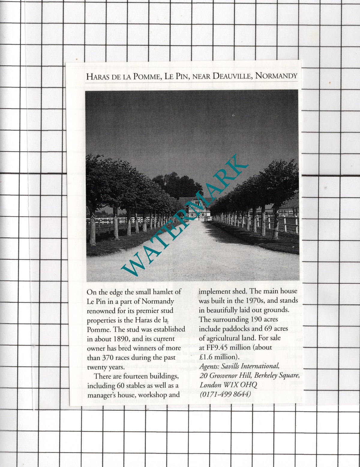 Haras De La Pomme Le Pin Deaville Normandy House Sale Advert - 1995 Cutting