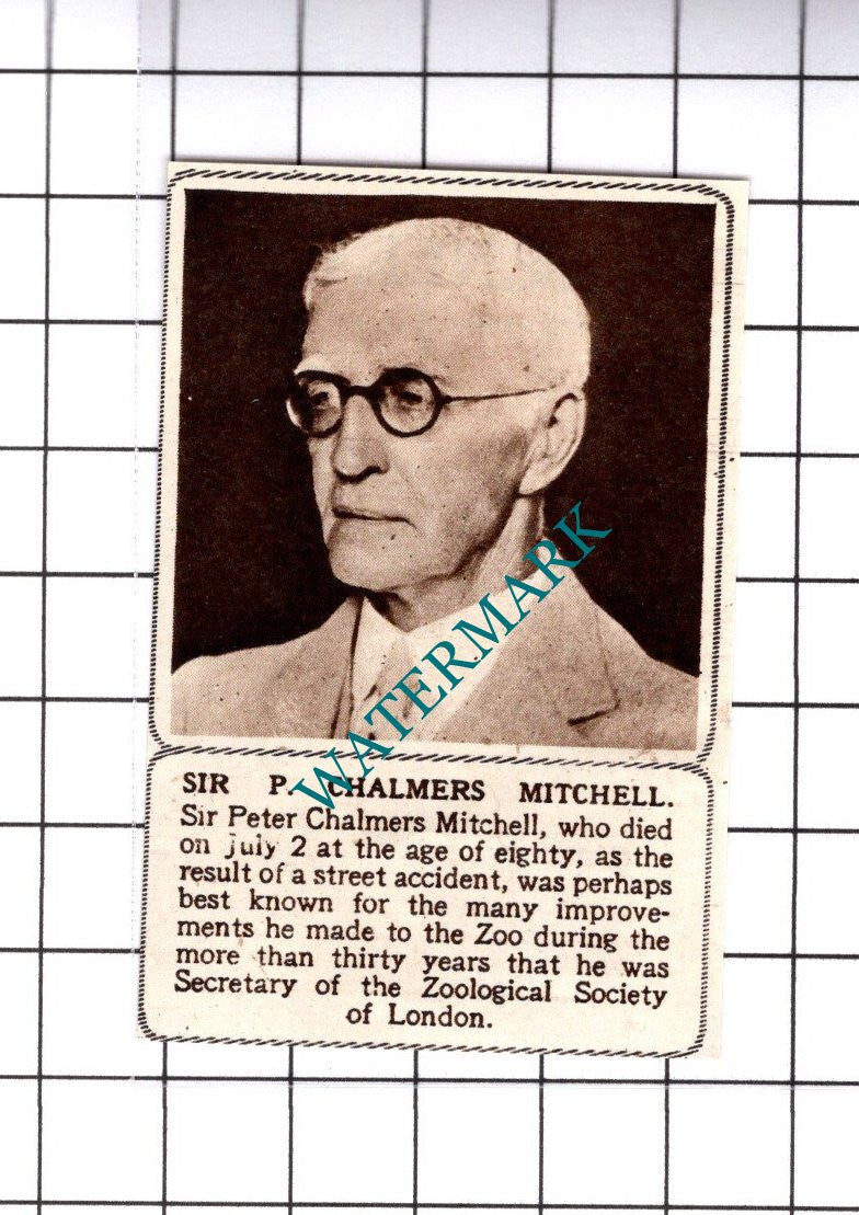 Sir Peter Chalmers Mitchell Obituary - 1945 SMALL Cutting