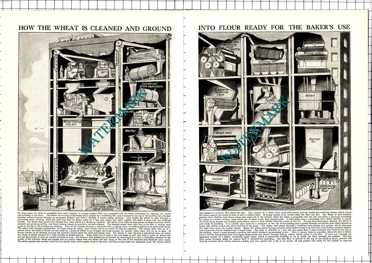 Inside A Flour Mill - c.1950s Two-Part Clipping / Print