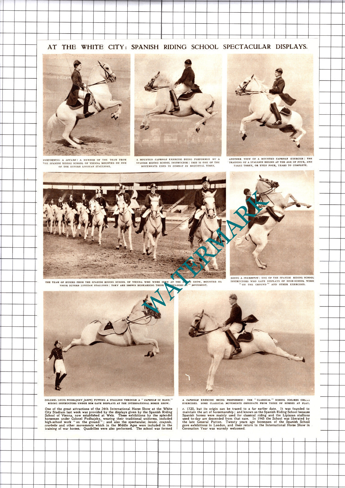 Spanish Riding School Vienna Horses White City Stadium - 1953 Cutting / Print