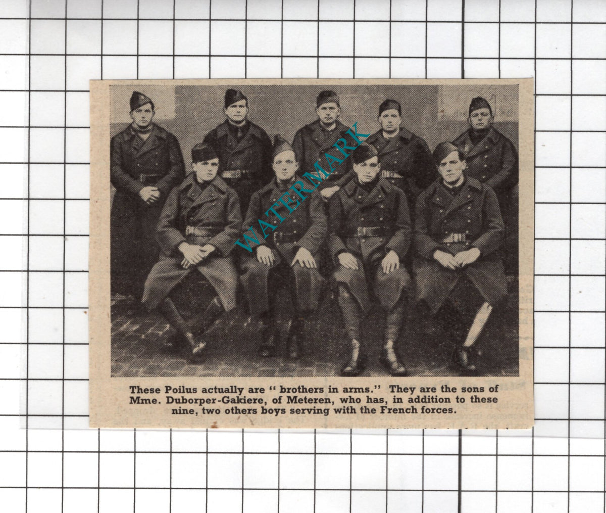 Mme Duborper-Gakiere Meteren Sons WW2 - 1940 Small Clipping