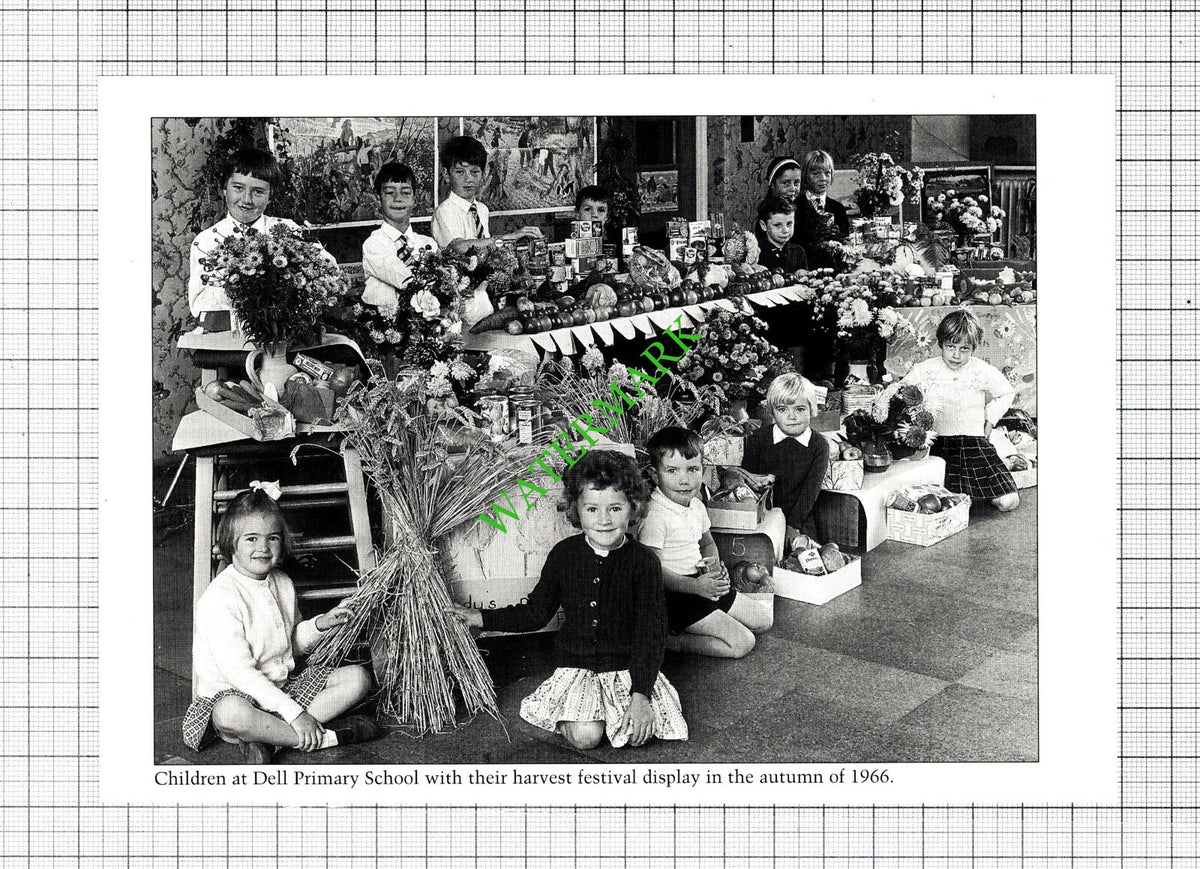 Dell Primary School Lowestoft - Cutting