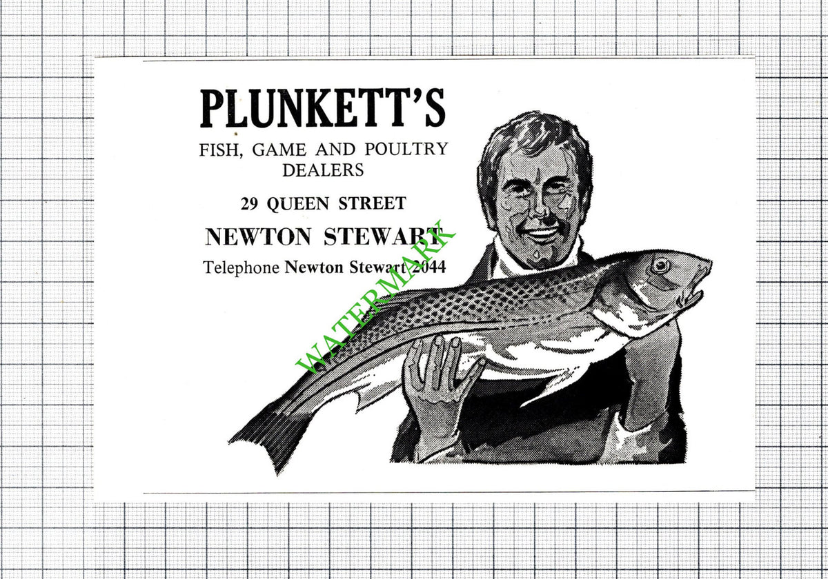 Plunkett's Fish and Game Dealers Newton Stewart Small Advert - c.1975 Cutting