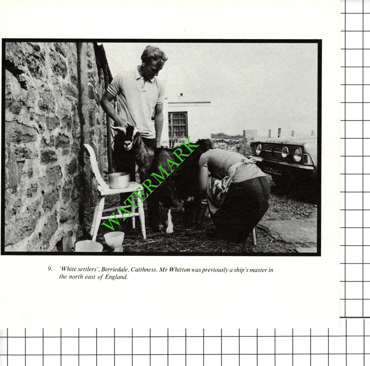 Mr Whitton Berriedale Caithness - Cutting