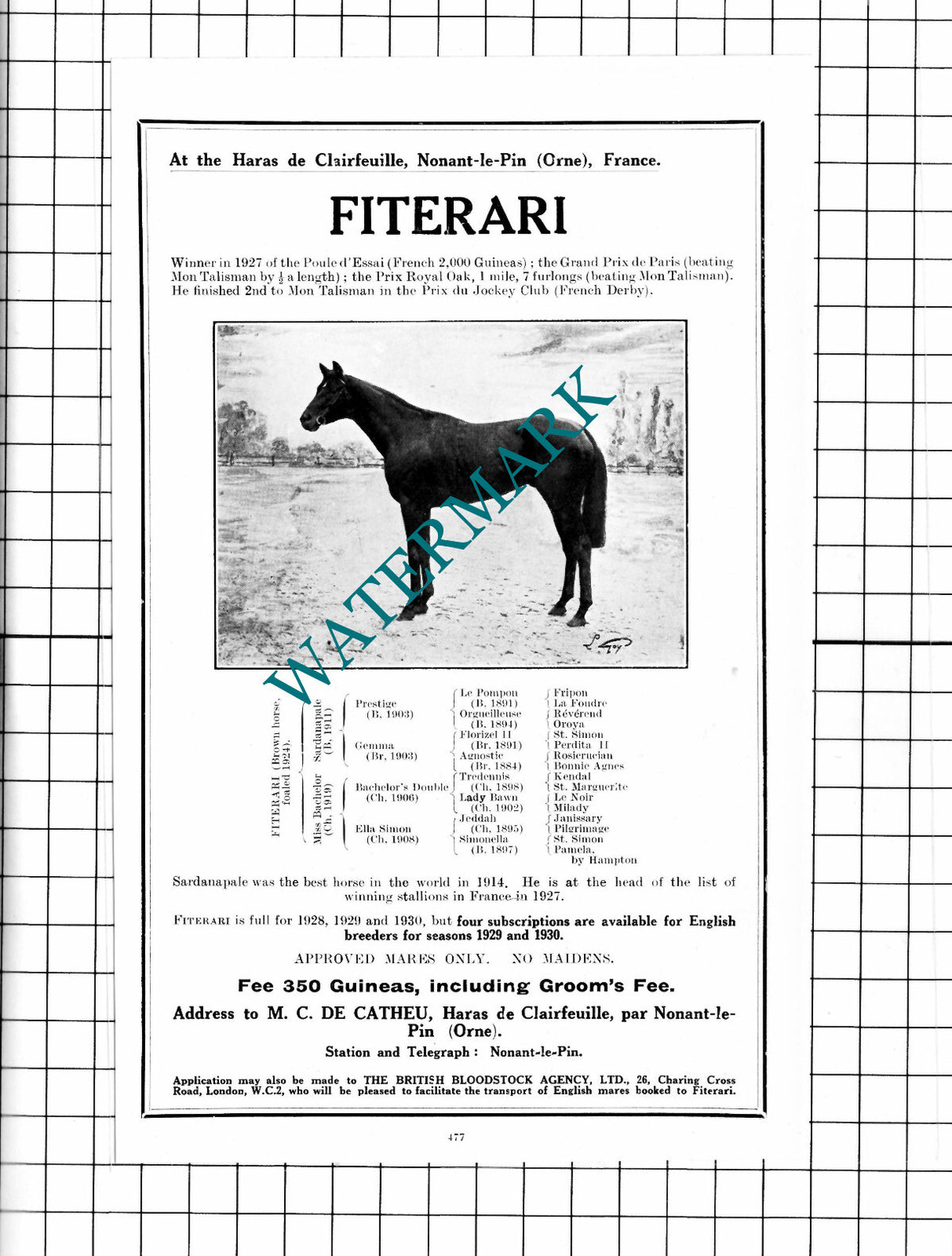 Fiterari Racehorse Horse Haras de Clairfeuille Nonant-le-Pin France- 1927 Advert