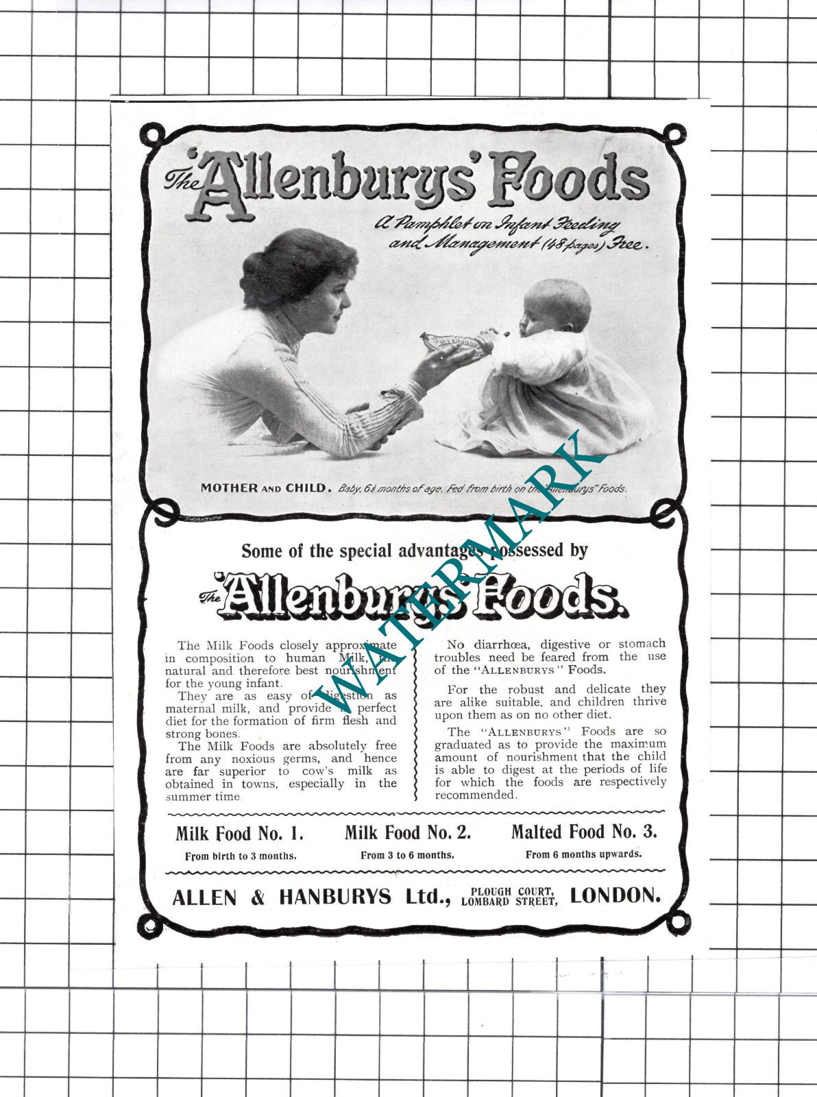Allenbury's Foods Allen & Hanburys Ltd London ADVERT - 1903 Cutting / Print