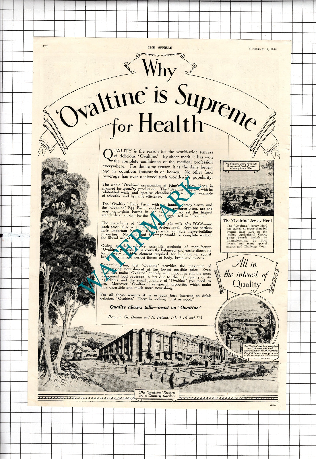 Ovaltine Advert Egg Farm Factory - 1936 Advert