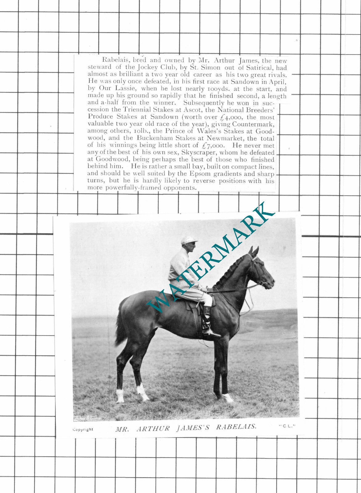 RABELAIS Race Horse Mr Arthur James - 1914 Two-Part Clipping/ Print