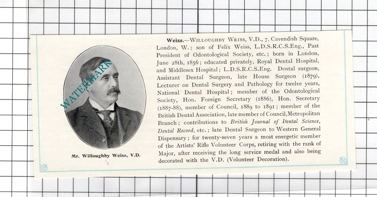 Mr Willoughby Weiss 7 Cavendish Square London Dental Surgeon - c.1910 Cutting