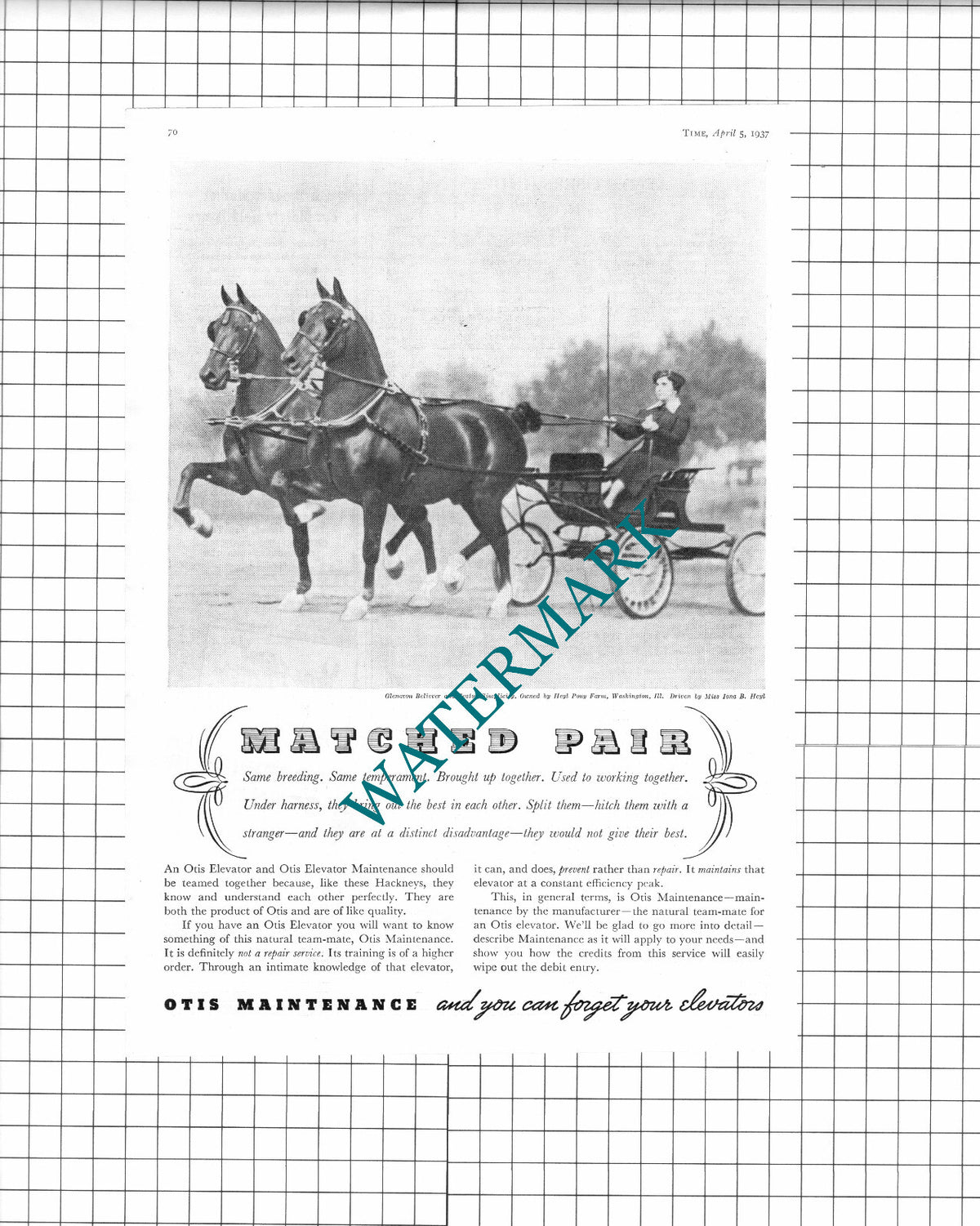 Miss Iona B Heyl Pony Farm Washington Otis Maintenance ADVERT - 1937 Clipping