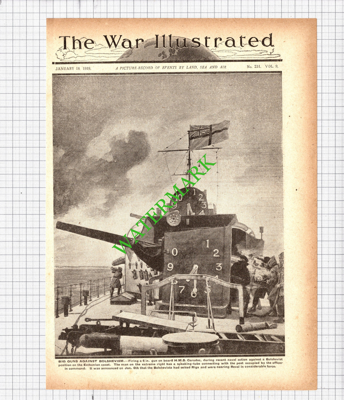 HMS Caradoc Ship Great War WW1 - 1919 Cutting