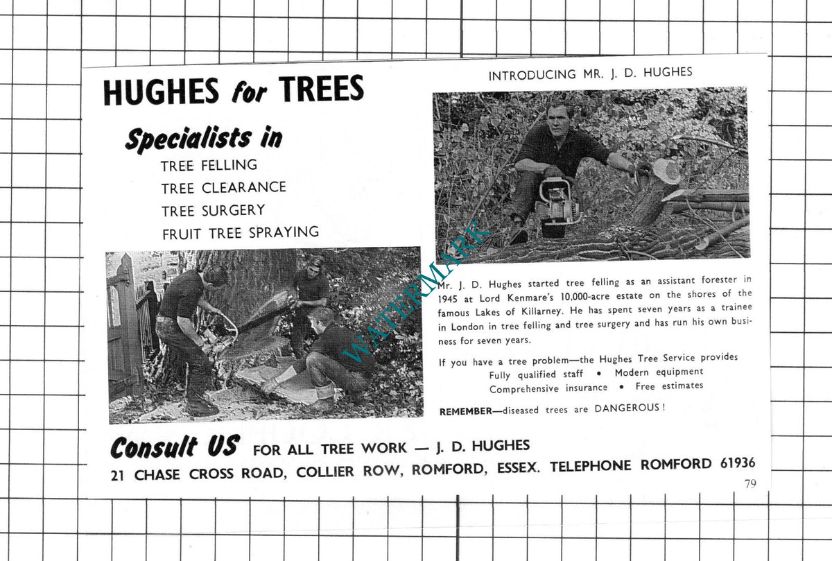 Mr J D Hughes Tree Felling Romford Essex Lord Kenmare Advert - c.1967 Clipping