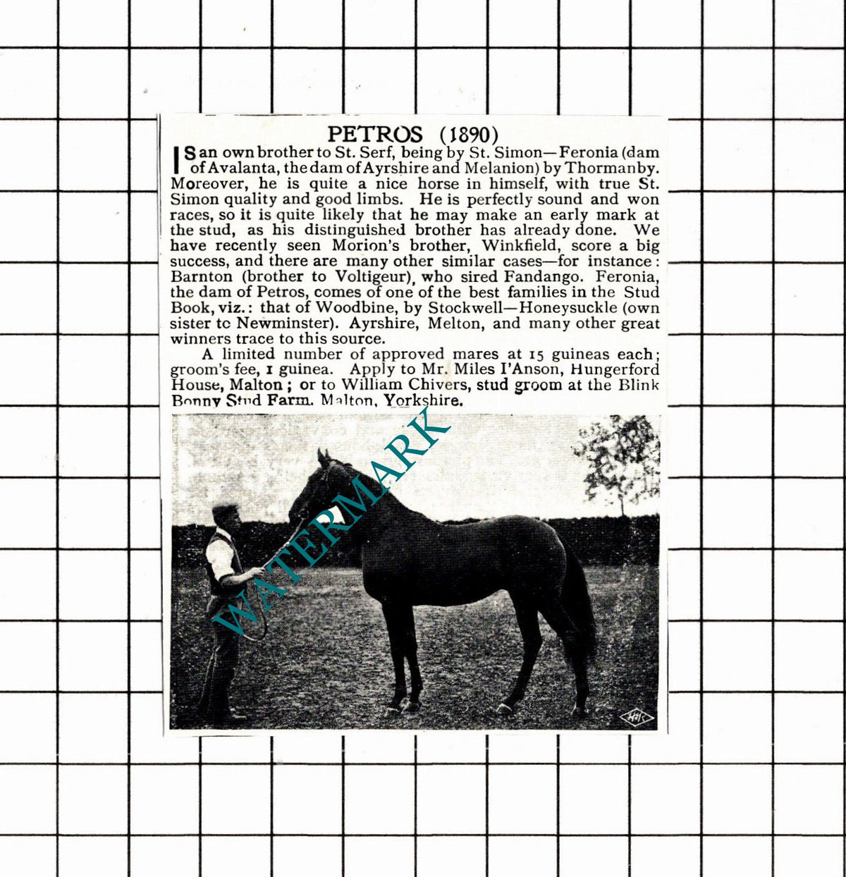 PETROS Race Horse Mr Miles I'Anson Hungerford House Malton 1897 SMALL Clipping