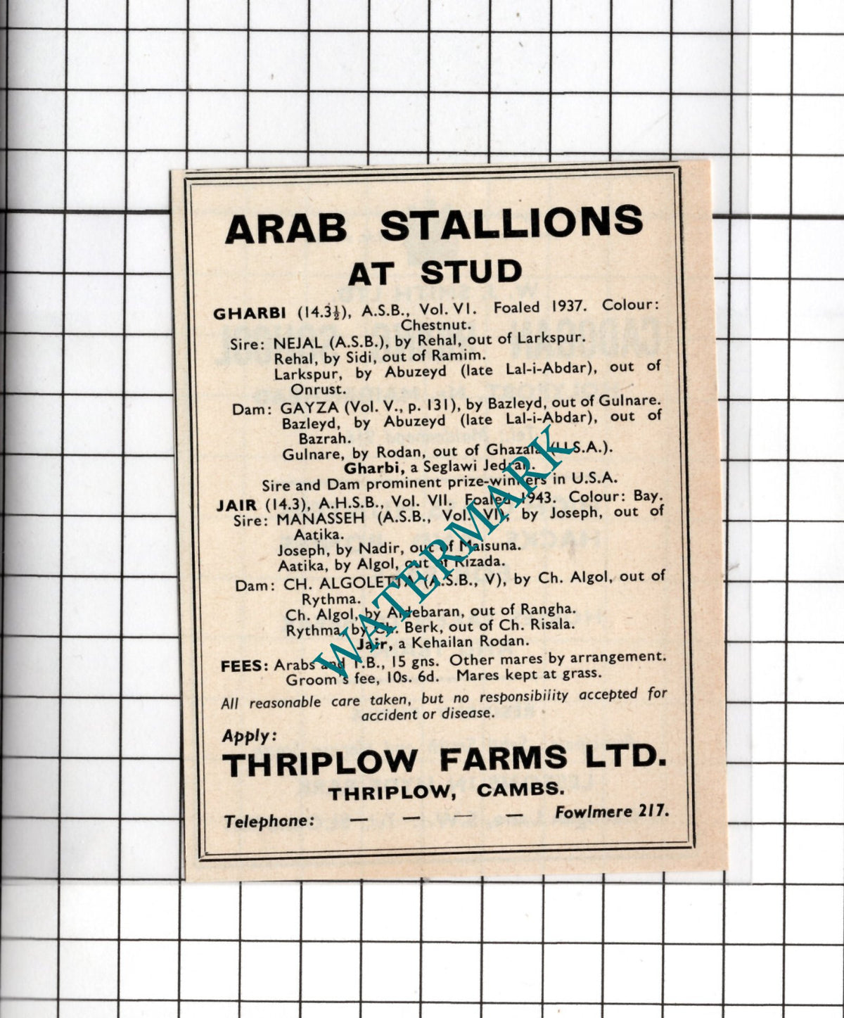 Thriplow Farms Ltd Thriplow Cambridgeshire - 1949 Small Advert