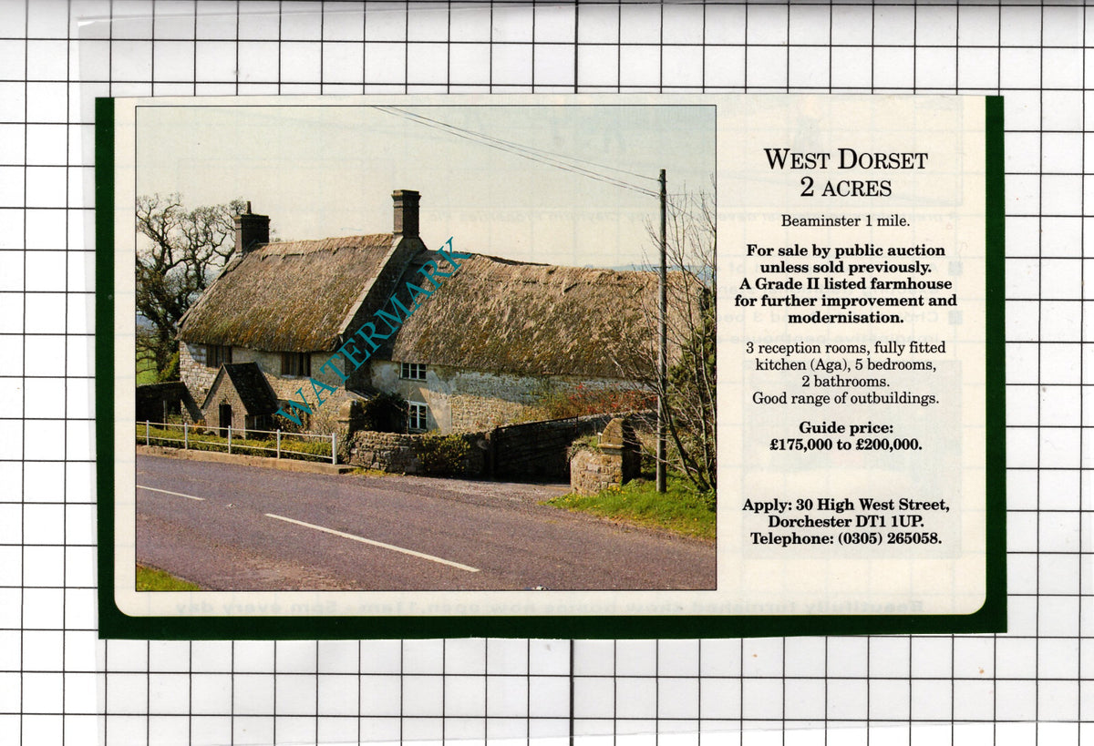 Beaminster Dorset House Sale Advert - 1991 Cutting